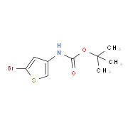 2-Bromo-4-(N-Tert-Butyloxycarbonylamino)Thiophen 494833-75-9